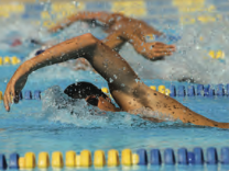 Swimmer